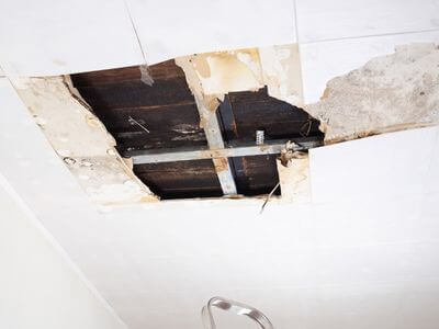 About Black Mold Removal Park City - black mold removal experts in Park City